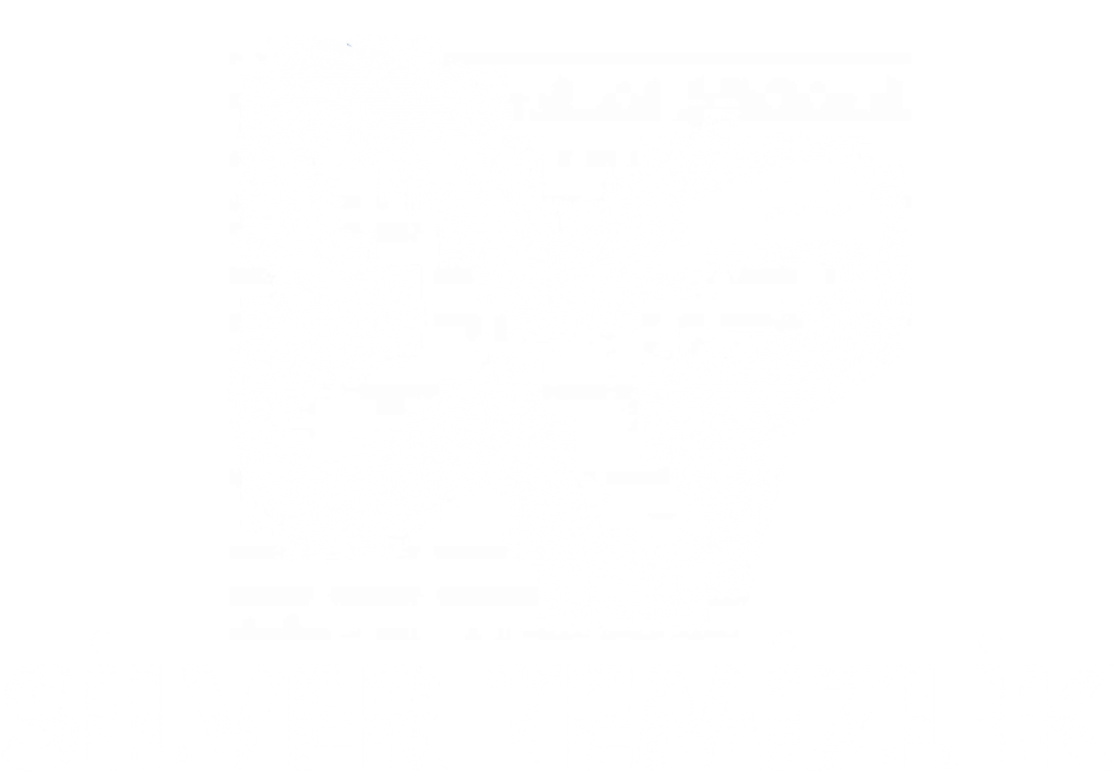 silverkimyasaltemizlik